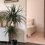 Le Timo-thee Apartmán