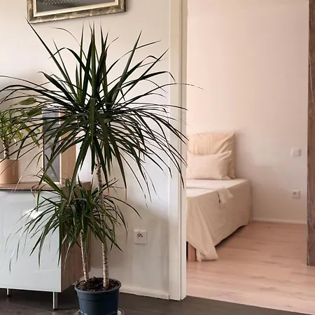 Le Timo-thee Apartmán